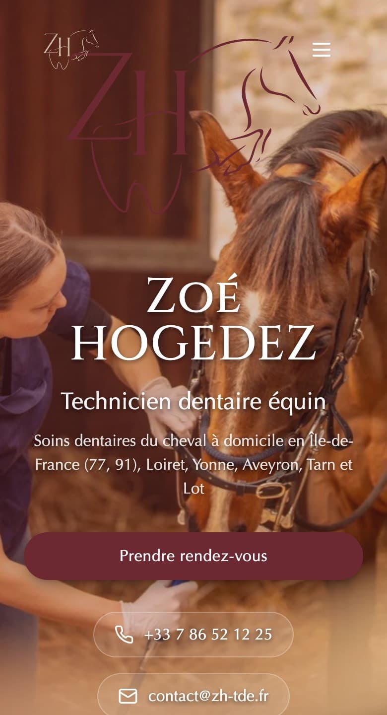 Page d'accueil de zh-tde.fr sur mobile, octobre 2026